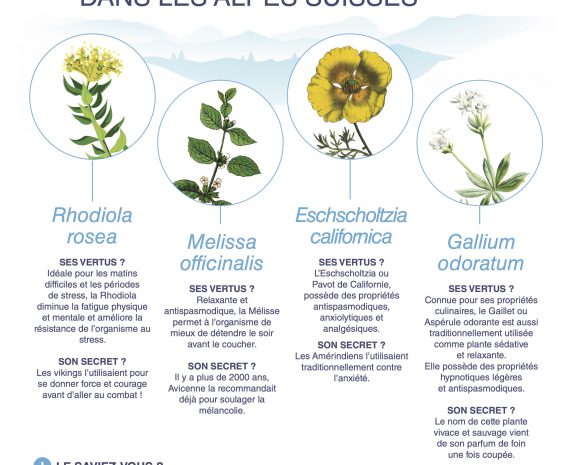 Découvrez les bienfaits des plantes alpines dont Pharmalp extrait le meilleur pour votre moral et bien-être !